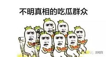 吃不着瓜就哭,吃不着瓜的无奈与心酸 第1张 吃不着瓜就哭,吃不着瓜的无奈与心酸 第1张